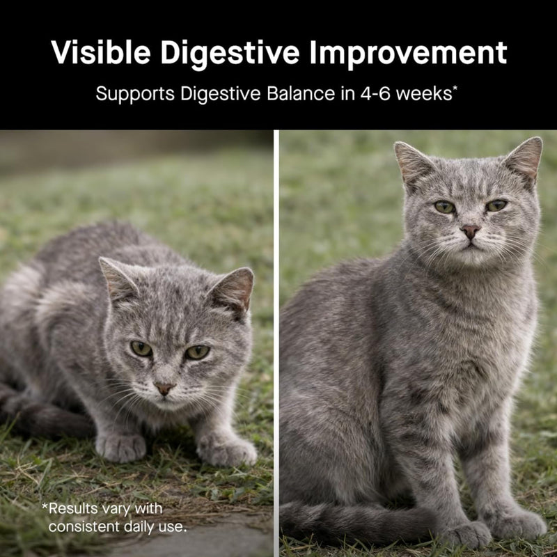 Koby Cat Probiotics | Daily Digestive Support for Sensitive Cats | Helps Loose Stool & Upset Stomach | Certified Organic | Vet Preferred, Clinical Dose | Easy-to-Use Powder