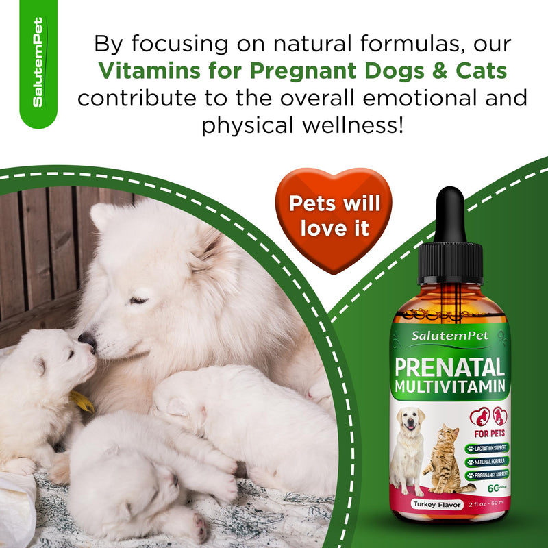 Vitamins for Pregnant Dogs and Cats - Dog Prenatal Vitamins - Pregnant Cat Supplies - Turkey Flavor, 2 fl.oz - PawsPlanet Australia