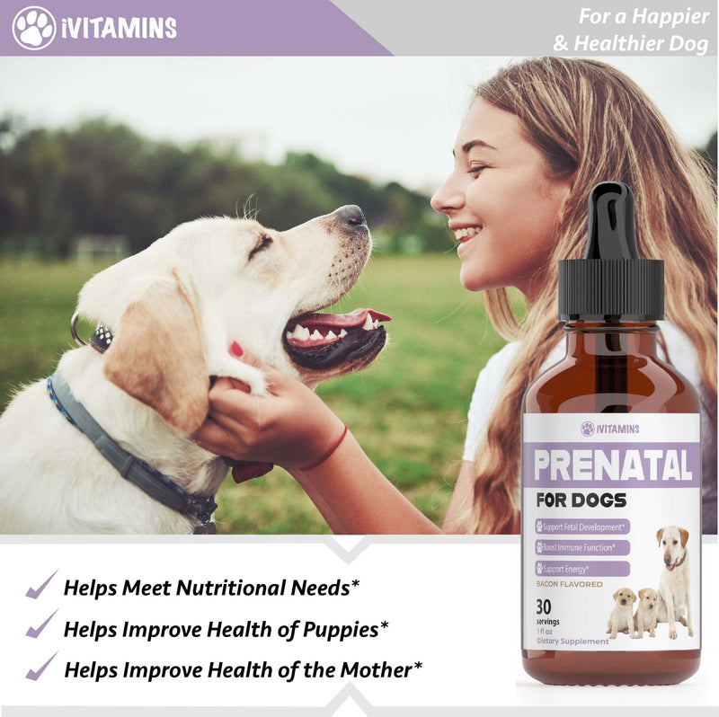 Dog Prenatal Vitamins | Prenatal Vitamins for Dogs | Includes Vitamin B Complex & Vitamin C | Dog Essentials | Whelping Supplies | Prenatal Dog Vitamins | Prenatal for Dogs | 1 Pack: 30 Servings - PawsPlanet Australia