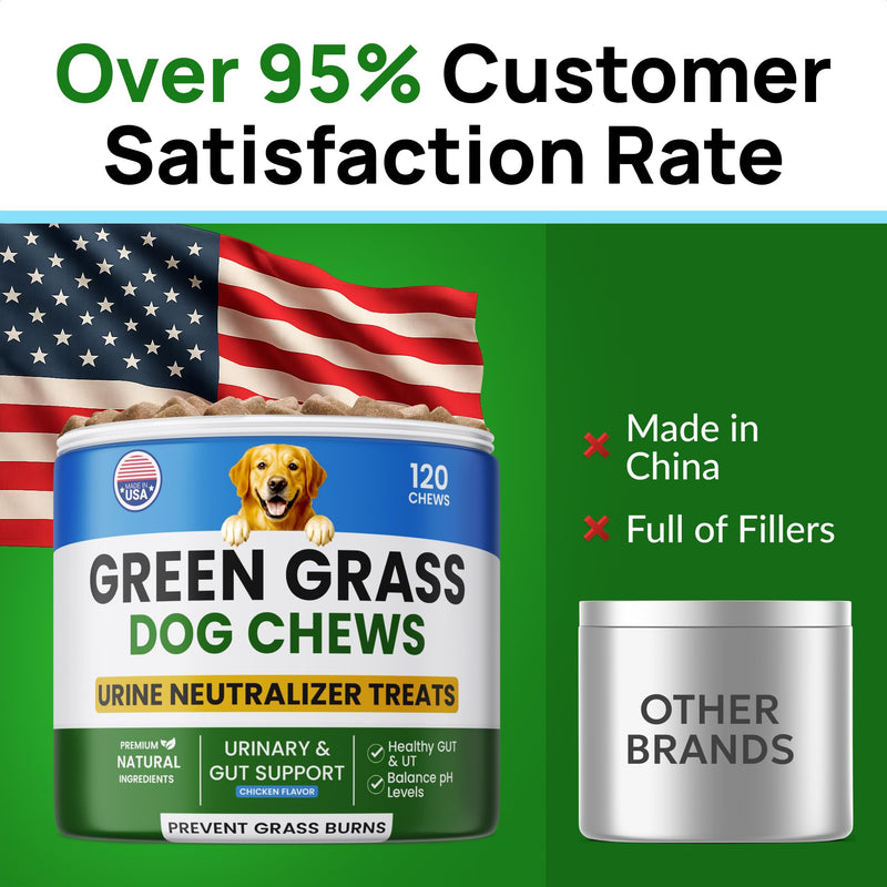 Green Grass Dogs Chews w/Probiotics - Prevent Urine Burning Grass - Pee Gras Spot Saver - Dog Urine Neutralizer for Lawn Treats, UT & Gut Health for Dogs, Lawn Burn from Dog Urine 120Ct