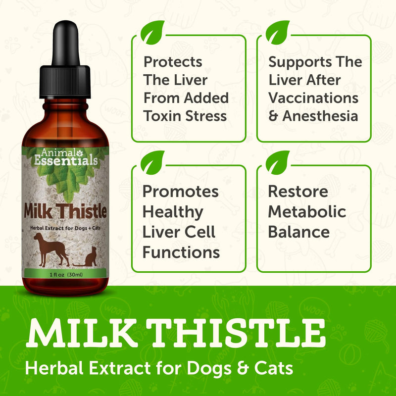 Animal Essentials Milk Thistle for Dogs & Cats - Liver Health Support, Herbal Extract, Liver Care Supplement, Organic Liquid Drops - 1 FL Oz 1 fl oz (30ml) - PawsPlanet Australia
