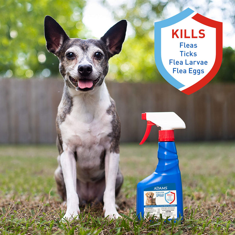 Adams Flea & Tick Spray 16 ounces - PawsPlanet Australia