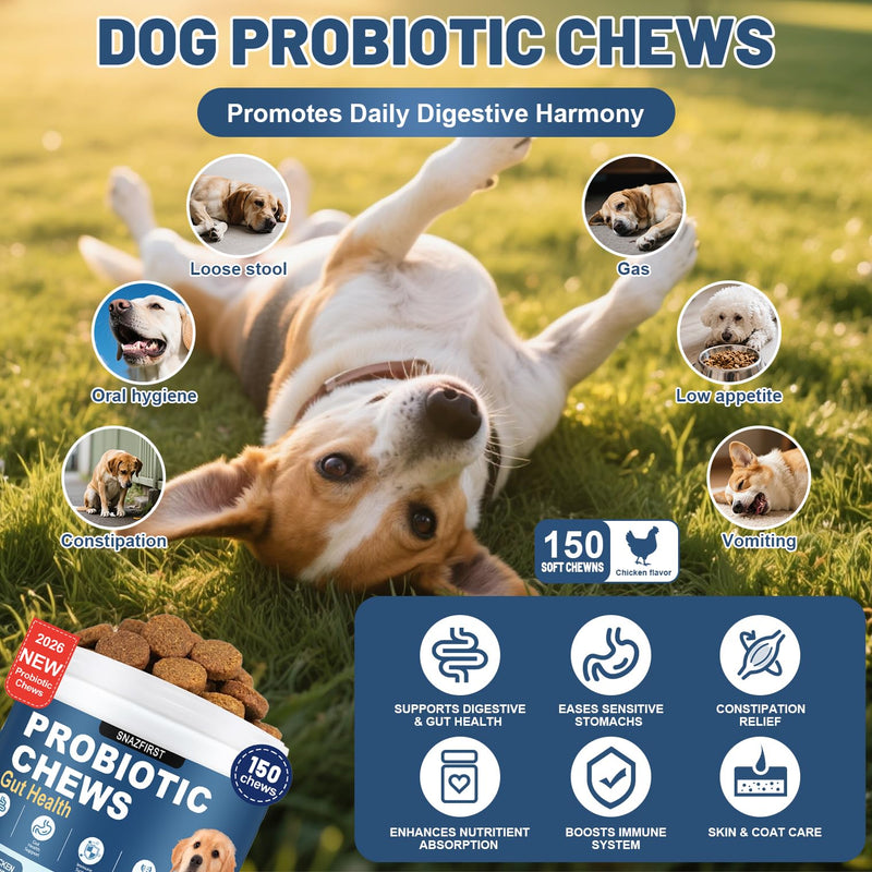 Probiotics for Dogs, Dog Probiotics Chews for Digestive Health & Gut Health, Improve Immune System,Constipation & Diarrhea Relief(Chicken Flavor, 150 Chews) 150 CHEW