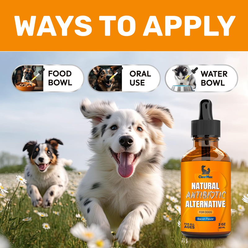 Natural Antibiotics for Dogs ◆ Dog Antibiotic ◆ Antibiotics for Dogs ◆ Dog Multivitamin ◆ Pet Antibiotic ◆ Dog Antibiotics ◆ Antibiotic for Dogs ◆ 2 Oz Bacon 2 Fl Oz