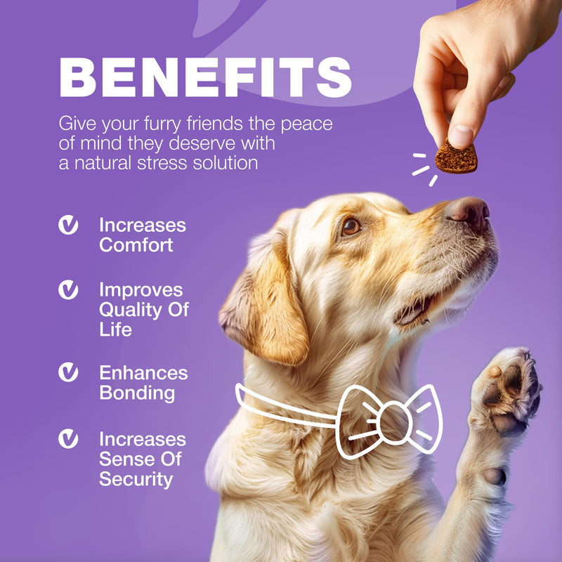 Dog Vitamins 15 in 1 - Dog Multivitamin Chews with MSM for Hip & Joint Health - Dog Supplement for Itchy Skin Relief - Multivitamin for Dogs Immune Support with Enzymes - Skin & Coat, Mobility Support 180 count - PawsPlanet Australia