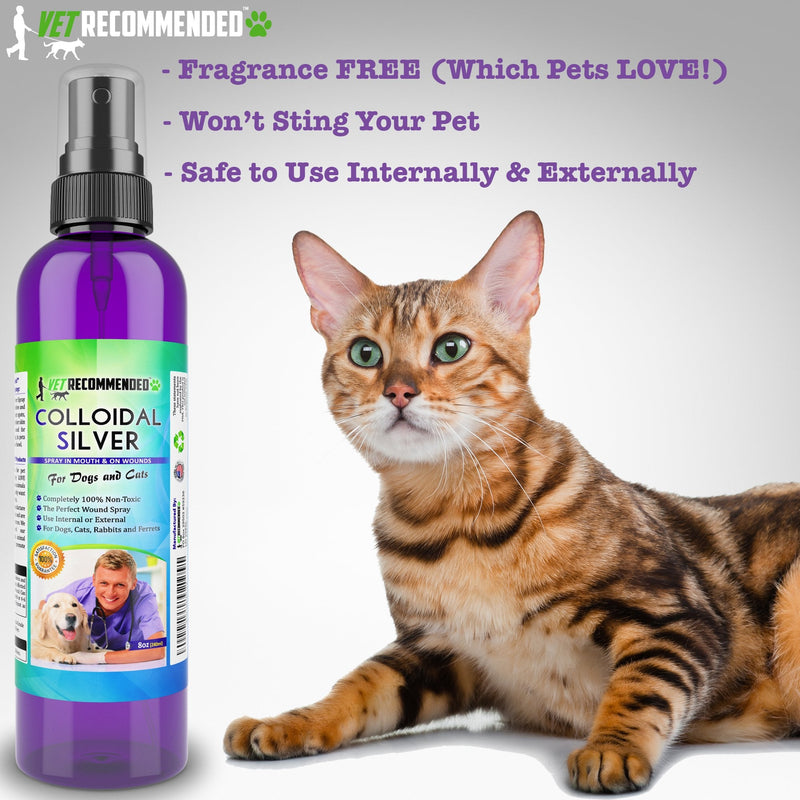 Vet Recommended Colloidal Silver for Dogs and Cats, Colloidal Silver Spray that Works as Natural Hot Spot Solution for Dogs - Made in USA (8oz/240ml) 8 fl oz (240 ml)