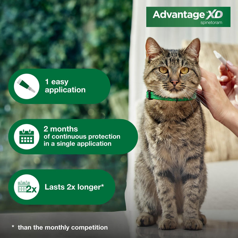 Bundle of Advantage XD Large Cat Over 9lbs. + Pet Protect Omega 3 Supplement for Small Dogs & Cats | 60 Capsules Large Cat + Omega 3