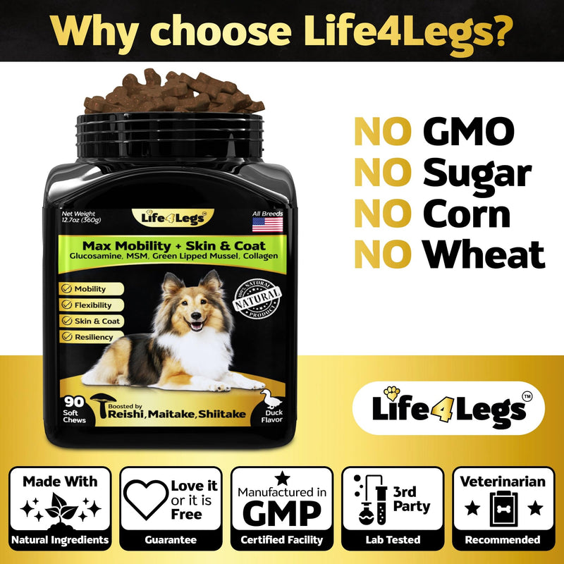 Hip and Joint Chews for Dogs + Skin and Coat Supplement - Dog Joint Pain Relief Treats - Glucosamine, Chondroitin, MSM, Hemp Oil, Turmeric, Omega 3 for Dogs, Mobility Dog Health Supplies Hip & Joint + Skin & Coat Duck - 90 Soft Chews