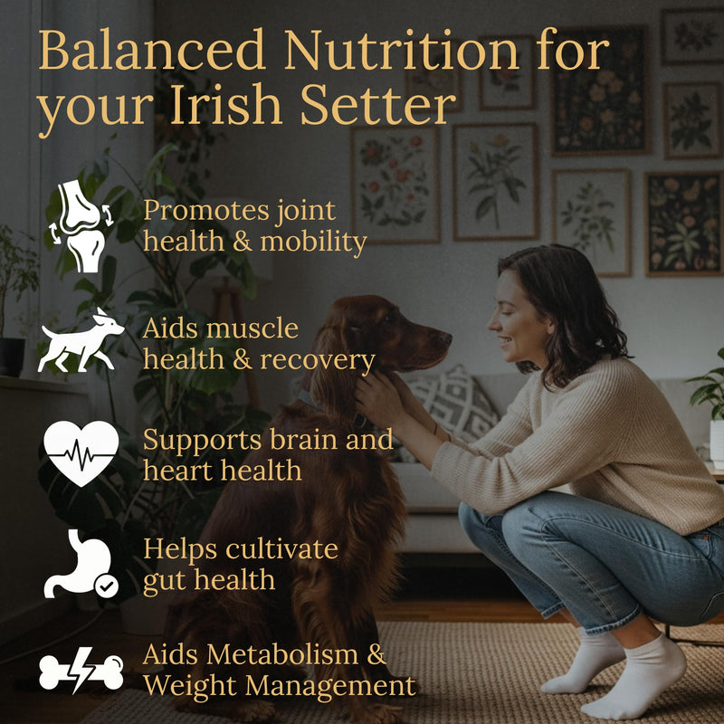 Irish Setter Multivitamins, 90 Count, Made in the USA with Real Bacon.