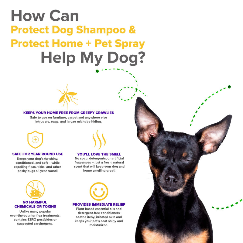 Protect Shampoo for Dogs; No More Scratching, Itching, or Hot Spots with Plant-Based All-Natural Formula with Healthy Essential Oils - Made in USA One Bottle - PawsPlanet Australia
