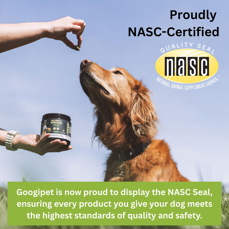 Googipet Premium Hip and Joint Supplement for Dogs - Glucosamine Soft Chews w/Green Lipped Mussels for Dogs, Dog Joint Supplement Turmeric for Mobility, Ages, & Breeds Hip and Joint (Chicken & Vegetable Flavor)