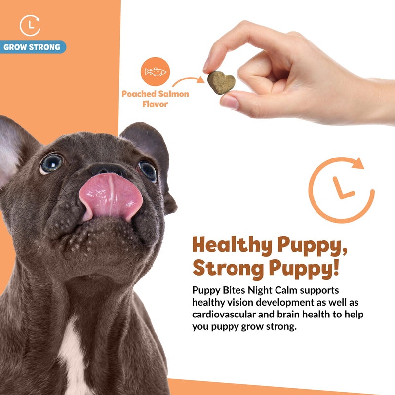 Snuggle Puppy Puppy Bites Grow Strong Supplement - Dog Soft Chews for Overall Health - Omega 3 Supplement for Dog Health - Fish Oil Chews for Dogs - 60 Soft Chews - PawsPlanet Australia