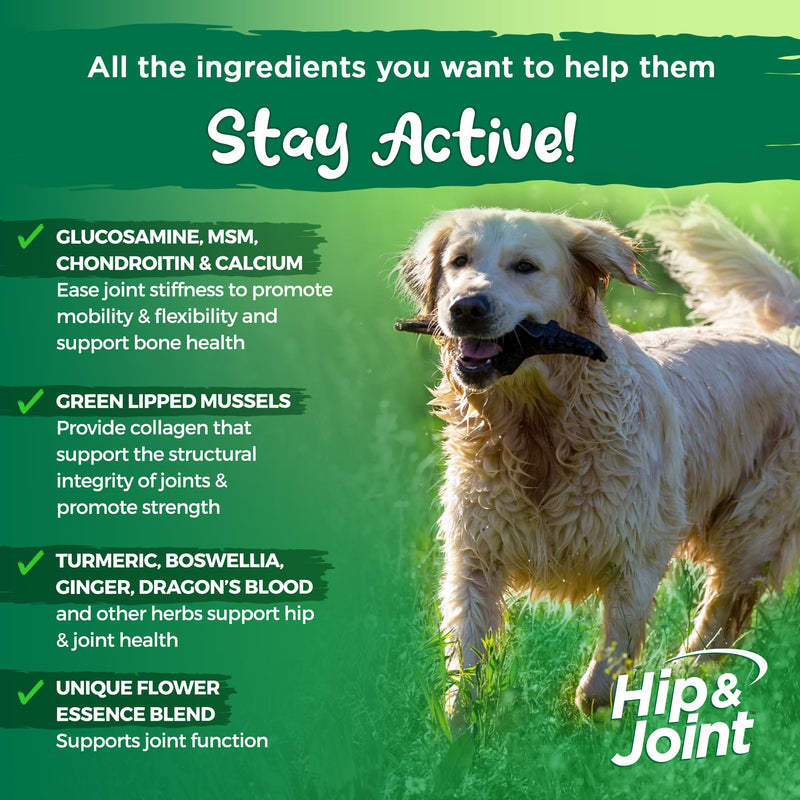 Vital Planet - Natural Hip and Joint Supplement for Dogs - Potent Herbal Blend with Green Lipped Mussel, MSM and Glucosamine (120 Chewable Tabs) - PawsPlanet Australia