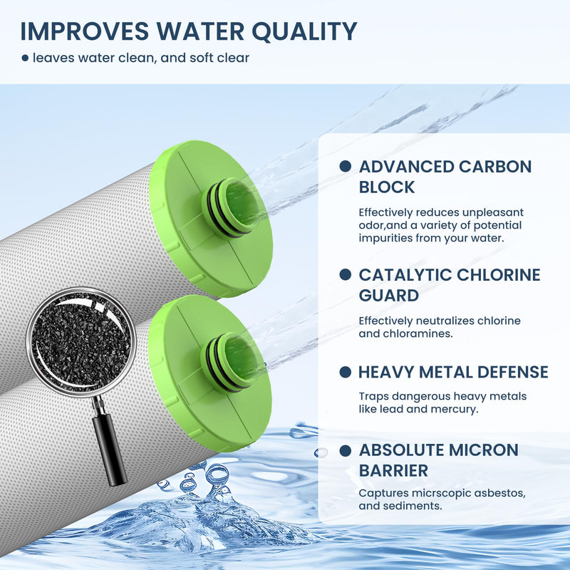 AO-US-200-R Water Filter Replacement Cartridge Compatible with AO Smith Advanced Water Filtration System, 1 Set (2 Counts)