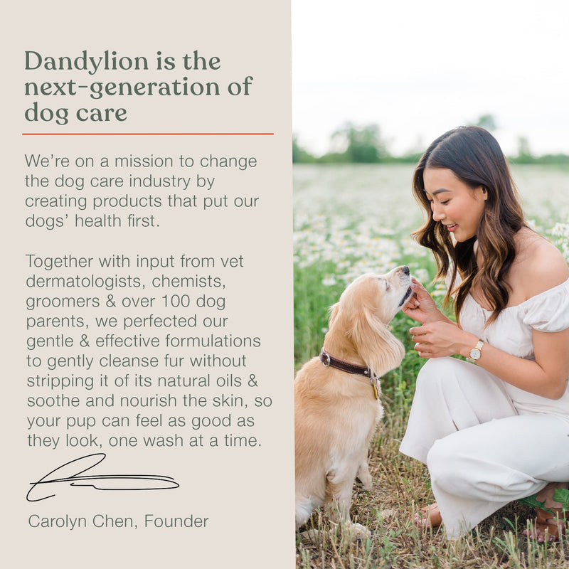 Dandylion Clean Paws | No-Rinse Puppy Paw Cleaner & Dog Paw Wash | Gentle, Fragrance-Free, pH Balanced Foaming Cleanser with Silicone Bristle Brush | Safe for All Dogs | 5 fl oz 5 Fl Oz Bottle with Brush