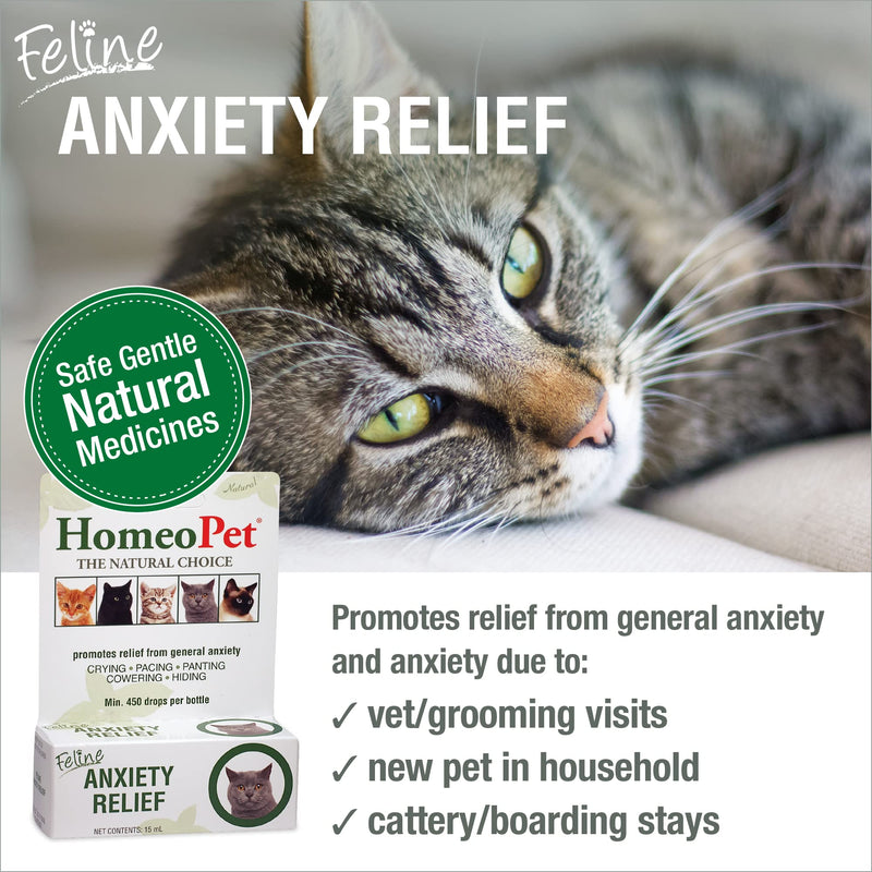 HomeoPet Feline Anxiety Relief, Stress and Anxiety Support for Cats, 15 Milliliters - PawsPlanet Australia
