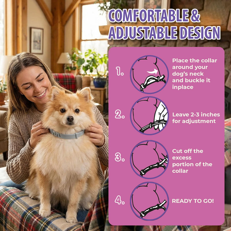 Calming Collar for Dogs 4 Pack – Dog Pheromone Collars Anxiety Relief, Stress & Separation – 25 Inches Adjustable Fits Small Medium Large Dogs – Long Lasting 60 Days, Helps Reduce Bad Behavior