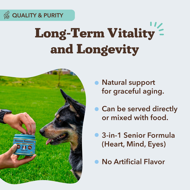 Natural Dog Company Senior Dog Bundle – Omega 3 Fish Oil Liquid 16oz & Senior Wellness Chews 90ct – Support Mobility, Brain, Heart & Eye Health with Turmeric, Salmon, Lion’s Mane & Omega-3s