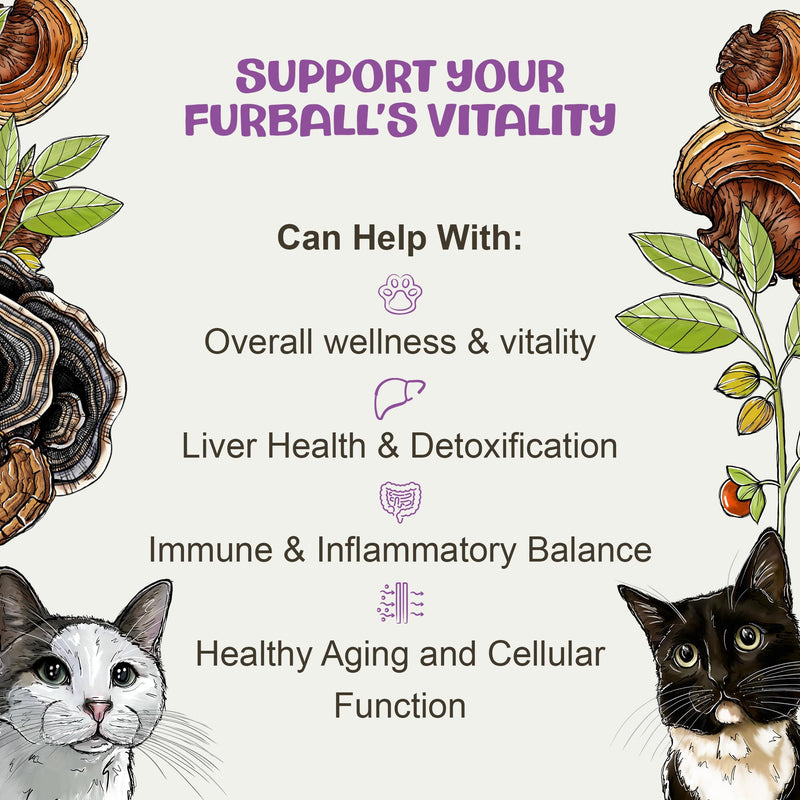 MycoCat Vitality - 20-in-1 Mushroom Extract & Adaptogen Tincture - Liver Support for Cats with Shiitake Mushrooms, Turkey Tail, Chaga, Maitake & Reishi for Felines with Debilitating Conditions