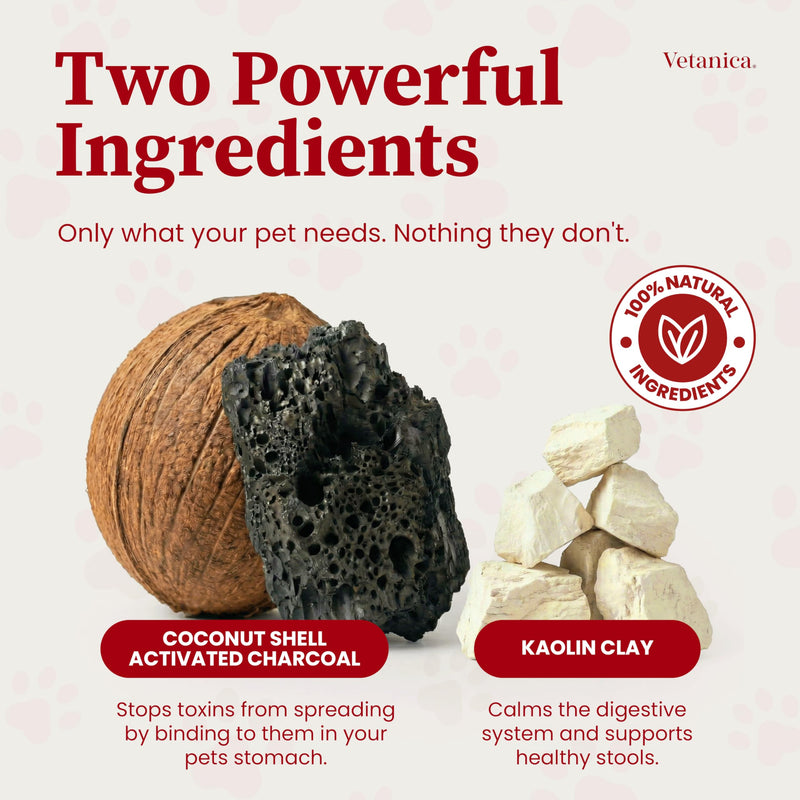 PawMergency – Activated Charcoal First Aid Kit Emergency Rescue for Dogs, Cats, Puppy & Pet Poison Kit, Camping Survival Remedy Essential,Oral Anti Diarrhea Digestive Paste Ready Absorb Toxins 1 Tube (Dogs Cats less than 30lbs)