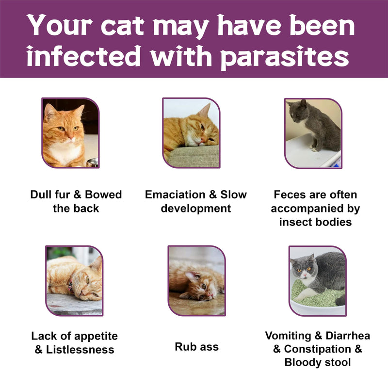 Flea and Tick Prevention for Cats, Flea and Tick Treatment for Cat Kitten, Flea & Tick Control, Over 1.5 Pounds, 6 Doses cat-6 Doses