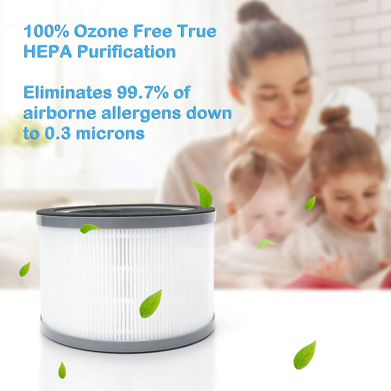 Vista 200 Replacement Filter, Compatible with LEVOIT Vista 200 Air Purifier Only, H13 Grade HEPA and Activated Carbon Filter Replacement, Part # Vista 200-RF, 2-Pack