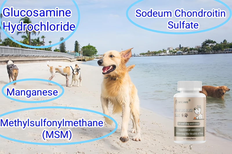 Hip and Joint Supplement for Dogs- with Glucosamine, Chondroitin, and MSM,120 Chewable Tablets, Chicken Flavor, Dog Joint Supplement，Joint Support Supplement for Dogs