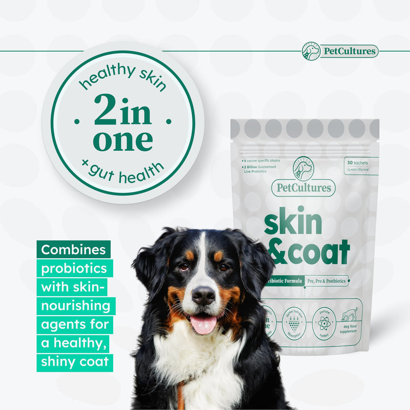 Omega 3 & 6 Coat Defense Powder, Probiotics for Dogs, Made in USA, Dog Allergy Relief, Itching Skin & Dry Skin Treatment, 2 Bil CFU, 450mg Biotin, Fish Oil, 30 Powder Packs Skin and Coat PRO - PawsPlanet Australia