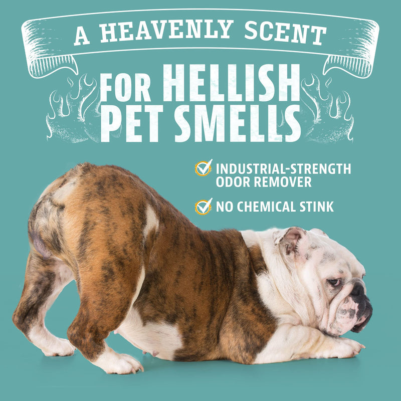 Angry Orange Pet Odor Eliminator for Home - 8oz Dog and Cat Pee Smell Remover for Carpet, Grass, Tile and Furniture - Citrus Concentrate, Makes 128oz of Liquid Fresh Orange Scent