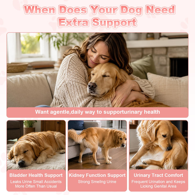 Dog UTI Treatment, Cranberry Supplement for Dogs, Urinary Tract & Bladder Incontinence Support with Natural Cranberry Extract & D-Mannose & UT Probiotics, Includes 10 Urine Test Strips, 120 Chews