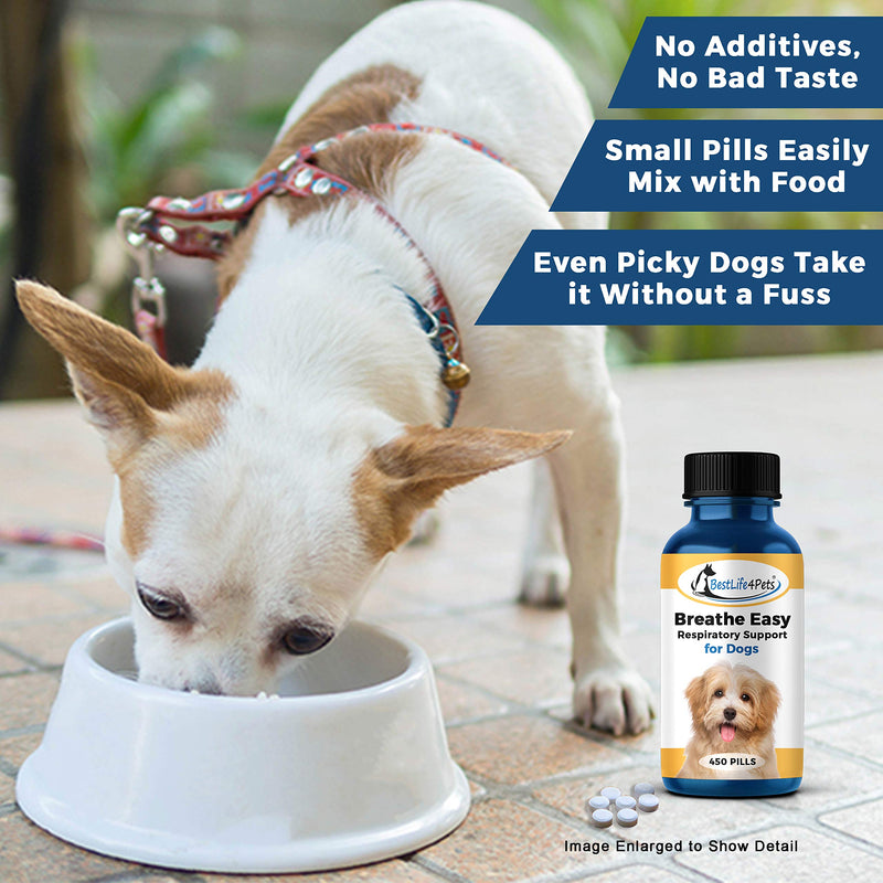 BestLife4Pets Breathe Easy Respiratory Support for Dogs - Natural Relief for Kennel Cough, Runny Nose, Sneezing and Sinus Congestion - Non-drowsy, Easy to Use (450 Pills) - PawsPlanet Australia