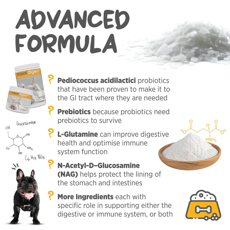 maxxidigest+ Probiotic & Prebiotic Powder Supplement - Digestive & Immune Support for Dogs, 13.2oz 13.2 Ounce (Pack of 1) - PawsPlanet Australia