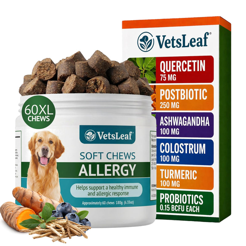 Dog Allergy Chews for Itchy Skin, Hot Spots, Paw Licking Relief & Itchy Ears – Quercetin, Turmeric, Probiotics & Colostrum – Made in USA – 60 Count Allergy Relief