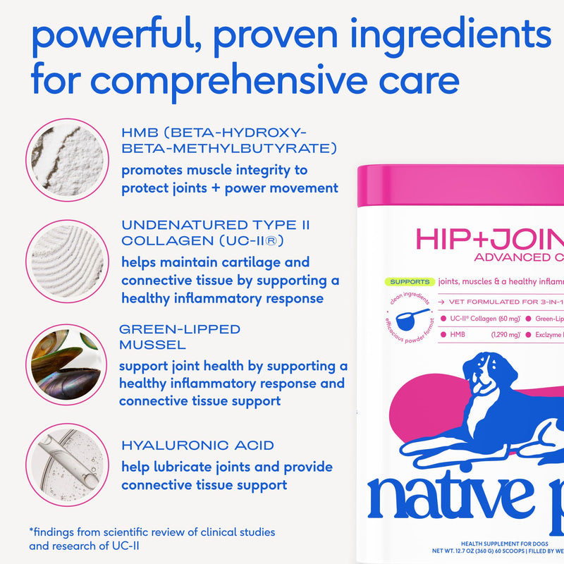 Native Pet Ageless Energy Bundle Pack: Advanced Care Hip & Joint Supplement for Dogs & The Daily 11-in-1 Multivitamin Powder - 30 Scoops, Omega 3 Fish Oil for Dogs & Cats - 8 Oz
