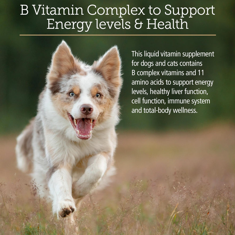Rx Vitamins Amino B-Plex Cat & Dog Supplement - Vitamin B Complex Liquid Plus Amino Acids for Dogs & Cats - Appetite Booster and Cat & Dog Weight Gainer - Supplements & Vitamins - 8 oz 8oz