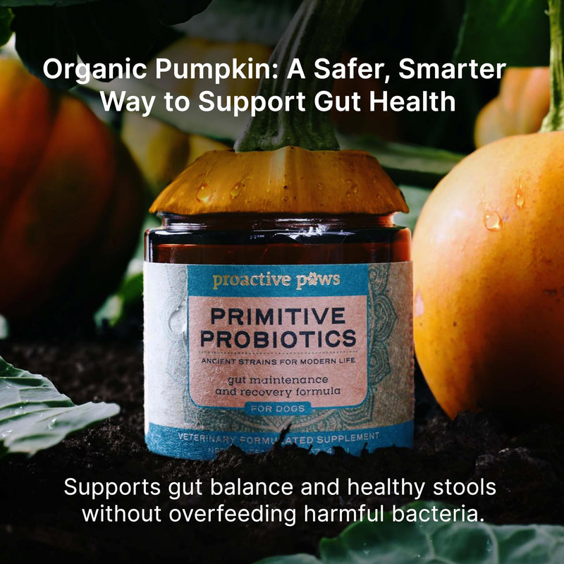 PROACTIVE PAWS Primitive Probiotics for Dogs – Species-Specific & Soil-Based Dog Probiotic Supplement for Gut Health, Digestion, Immune & Calming Support