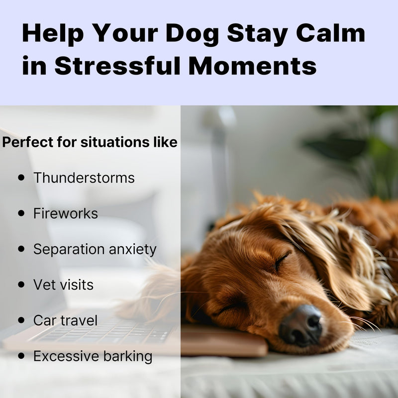 Hemp Calming Chews for Dogs – 120 Soft Chews – Anxiety & Stress Relief – Separation, Barking, Thunderstorms – Melatonin & Hemp Oil – Made in USA