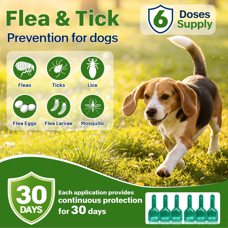 Flea and Tick Prevention for Small Dogs, Waterproof Topical Dog Flea and Tick Fast-Acting at Home, 6 Doses Control for Dogs 5-22 lbs