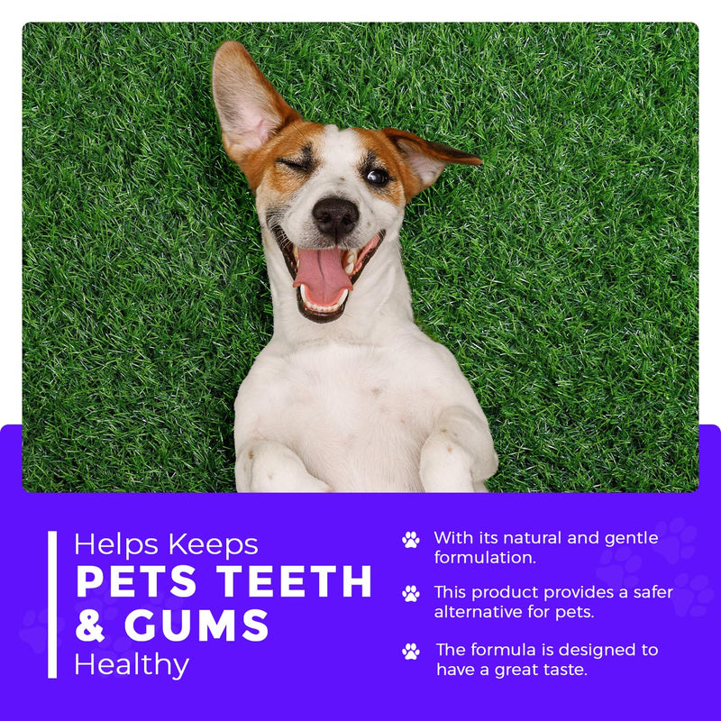 Ayurvedic Brushing Treatment for Pets | Best Oral Hygiene & Bad Breath Eliminator | Dog Breath Freshener for Teeth Cleaning | Teeth Cleaner & Plaque Remover Dog Mouth Spray (Chicken), 4 FL Oz Chicken