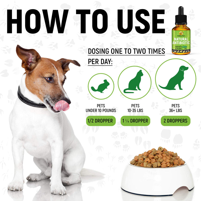 GoldenPaw Herbal Pet Supplement for Cat - PawsPlanet Australia