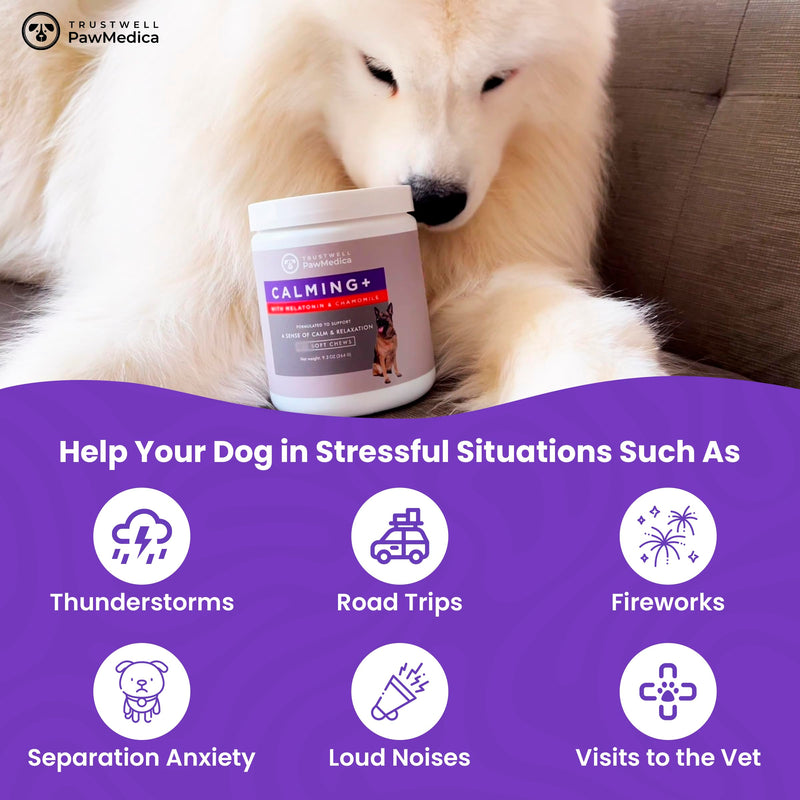 PawMedica Calming Chews for Dogs - Dog Sleep Supplement Melatonin for Dog Anxiety - Recommended Dog Calming Treats for Separation Anxiety and Barking Stress - Dog Melatonin Calming Bites for Fireworks 60 chews