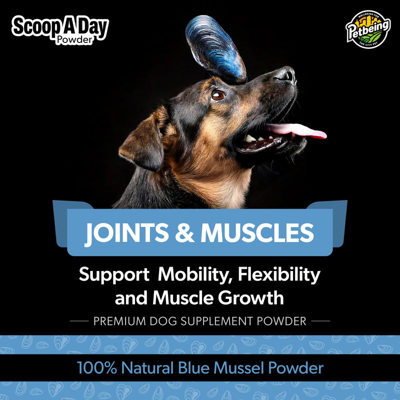 Scoop A Day Dog Supplement - Blue Mussel Powder | Mobility, Muscle, Joints Support | Omega 3 & 6 for Healthy Digestion and Immune Boost - Made in USA (3.5 oz)