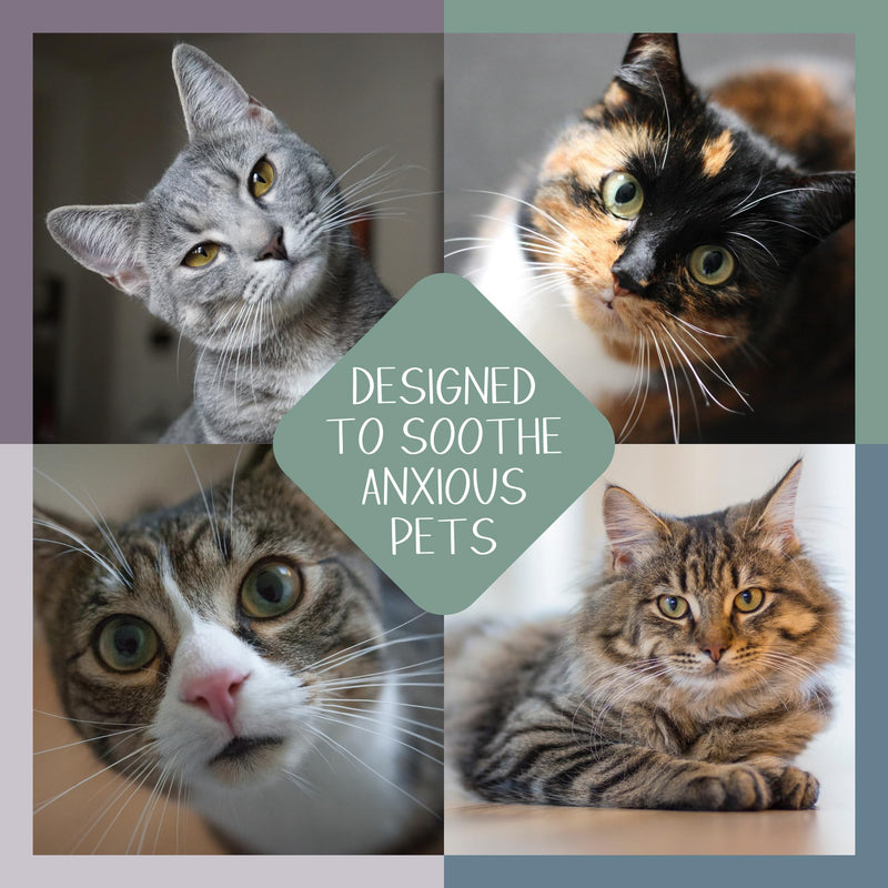 Aromatic Pheromone Refill Pads for Cats, Woodland Whiskers Scent, Pack of 7 Pads, Made in The USA