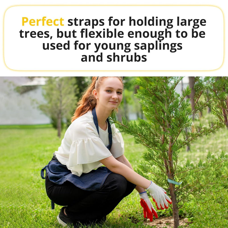 Green Tree Tie Webbing Strap 3/4" x 250' - Heavy Duty Tree Straps for Staking, Guying, Securing & Outdoor Use - Garden Ties Webbing Flat Rope for Heavy Plants & Trees Support by IDL Packaging Green
