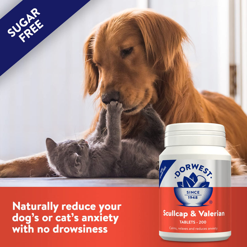 Dorwest Valerian Compound for Dogs and Cats, 100ml & Scullcap & Valerian Calming Tablets for Dogs and Cats, 200 Tablets, Non-Drowsy, Light Yellow Tablet, 14DOR017 + Scullcap & Valerian - PawsPlanet Australia