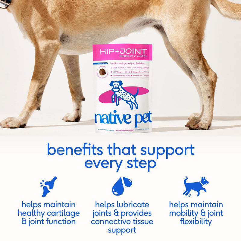 Native Pet Oral & Joint Health Bundle: Hip & Joint Supplement for Dogs - Helps Maintain Healthy Cartilage & Joint Flexibility & GutWell Clean Breath - Dog Breath Freshener - 60 Count