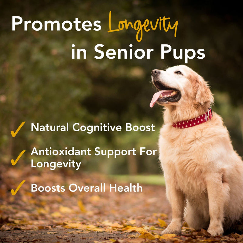 iHeartDogs Senior Super 7 Daily Dog Multivitamin - 7-in-1 Vitamin for Dogs Supports Anti-Aging with Antioxidants, Probiotics, Lion's Mane, Turkey Tail, & Ashwagandha for Longevity & Cognitive Boost - PawsPlanet Australia