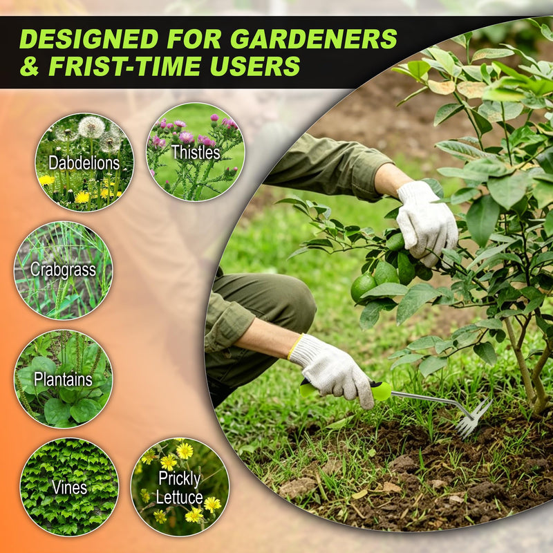 Weed Puller Kit, Crack Weeder Crevice Weeding Tool, Stainless Steel L-Shaped Hand Weeder Tool, Portable Manual Weed Puller Tool for Garden, Patio Lawn, Planting Weeding - 3 Pack 3-PCS