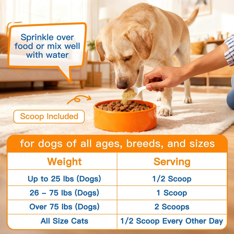 Pumpkin for Dogs and Cats - Pumpkin Powder to Make Puree, Natural Fiber for Dogs with Apple, Carrot, Ginger, Promote Regularity, Support Digestion, Diarrhea, Constipation, 60 Scoops
