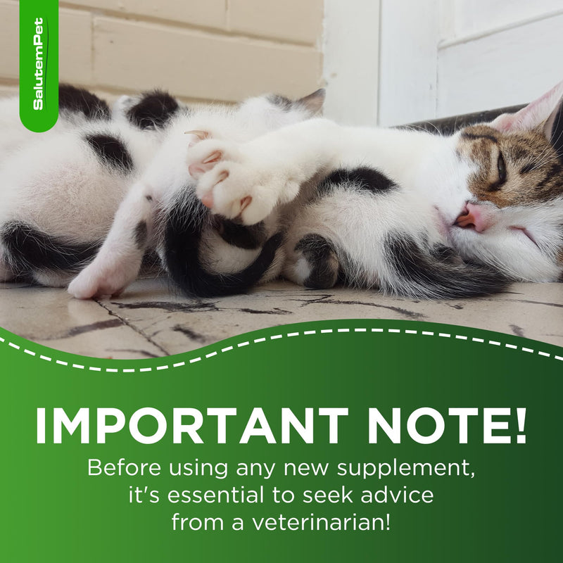 Vitamins for Pregnant Dogs and Cats - Dog Prenatal Vitamins - Pregnant Cat Supplies - Turkey Flavor, 2 fl.oz - PawsPlanet Australia